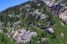 Half-Day Skagway City Tour and White Pass Summit Adventure