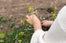 Private Earth Experience in Mendoza