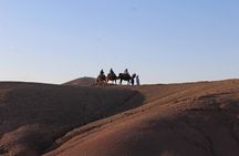 Camel Ride at Agafay Desert 