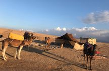 Camel Ride at Agafay Desert 