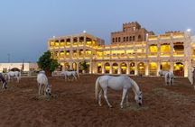 Doha City Tour (Private/Shared option Available)