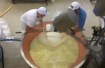 Parmigiano-Reggiano Tour and tastings