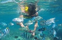  Bali Blue Lagoon Snorkeling with All - Inclusive Tour