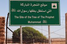 Tree of Al Buqayawiyya and Seven Sleepers Cave Private Tour 