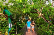 Xcaret Park Plus Tour! Nature, Culture and Nightshow from Cancun