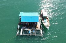 PhuQuoc -explore Culture, Starfish, Beach,Kayak -South&North