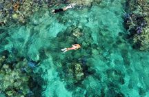 Explore Culebra – Half-Day Adventure!