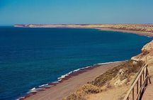 Regular Shore Excursion for Cruises to Valdes Peninsula 