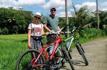 Cycling Tour in Yogyakarta with Lunch 3-Hour