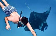 All-inclusive : Highlight Nusa Penida Tour with Snorkeling at Manta Ray