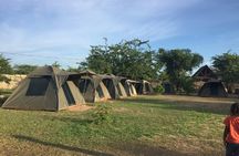 7-Days Northern Tanzania Camping Safari