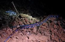 6-Day Amazon Odyssey: Private Amacayacu Ancestral Expedition