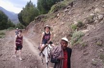 Day Trip to Tiya UNESCO Site & Melka Kunture Archaeological Site 