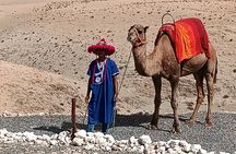 Magical dinner show and camel ride & Quad Bike in Agafay desert