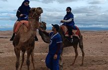 Magical dinner show and camel ride & Quad Bike in Agafay desert
