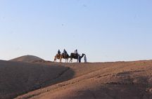 Agafay Desert : Quad Bike and Camel Riding Experience
