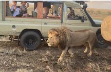 3 Days Masai Mara Jeep Safari 