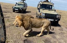 3 Days Masai Mara Jeep Safari 