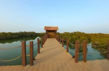 North of Qatar Tour|Zubara Fort, Purple Island & Mangroves Colony