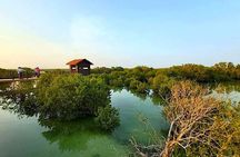 North of Qatar Tour|Zubara Fort, Purple Island & Mangroves Colony