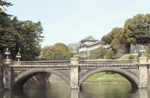 Tokyo 7-Hour Free Choice Tour