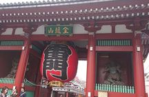 Tokyo 7-Hour Free Choice Tour
