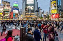 Tokyo 7-Hour Free Choice Tour