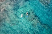 Guided Snorkeling Experience