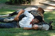 Gaucho Day Tour Ranch at an Estancia from Buenos Aires 