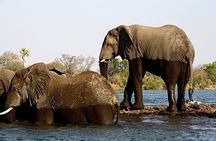5 Days Victoria Falls, Hwange Full Day and Chobe Full Day Tour
