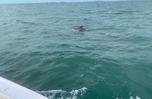 Custom Charters with a Local Captain 
