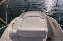 Private Luxury Rose Island ,Swimming Pigs, Snorkeling and Turtle