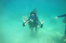 Diving in Playa Blanca Barú with Lunch - Cartagena Colombia