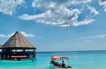 Best Safari and Zanzibar 10-Days Excursions