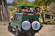 Best Safari and Zanzibar 10-Days Excursions