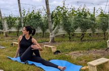 Yoga in vineyards and Brunch