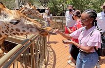 Private Tour in Giraffe Centre and Bomas of Kenya