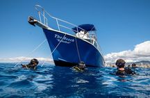First Time Introductory Scuba Dive