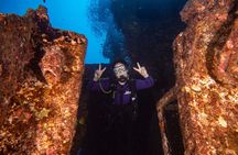 Small-Group Deep Dive in Oahu with Shipwreck and Reef