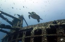 Small-Group Deep Dive in Oahu with Shipwreck and Reef