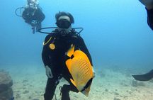 First Time Introductory Scuba Dive