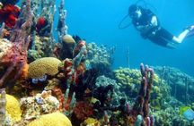 Diving in Playa Blanca Barú with Lunch - Cartagena Colombia