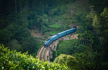 Tailor-made Multi-day Private Tour Packages in Sri Lanka