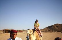 Hurghada Star watching Desert Adventure by Jeep, Romantic Dinner