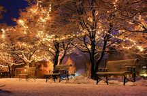 Special Magical Christmas Tour in Budapest
