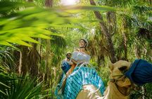 Camel Expedition and Beach Club In Riviera Maya