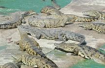 Private Le Cape Animal Farms Full Day Tour