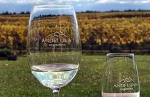 Private Tour in Valle de Uco
