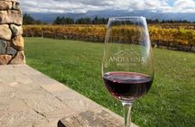 Private Tour in Valle de Uco