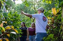Coffee Tour Monteverde 